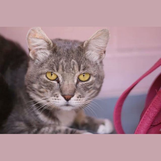 Photo of Buster Blue