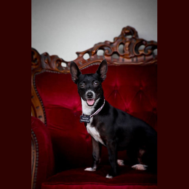 Photo of Cece