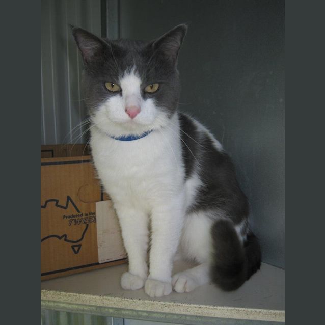 Photo of Ollie