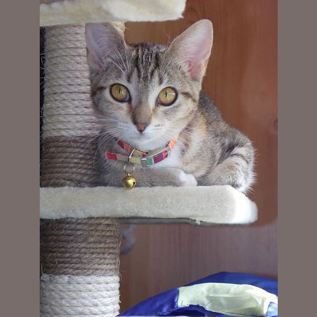 Photo of Alice