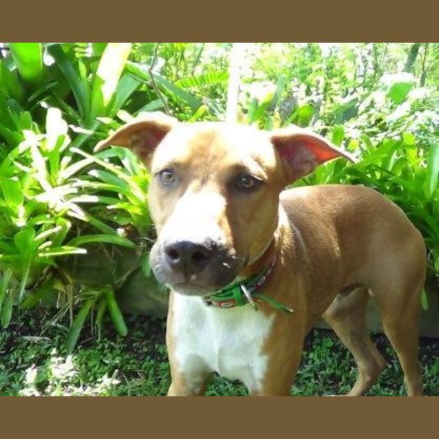 Photo of Bentley