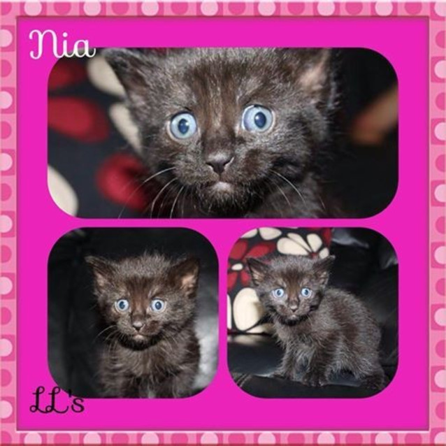 Photo of Nia