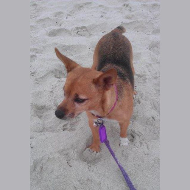 Photo of Betsy