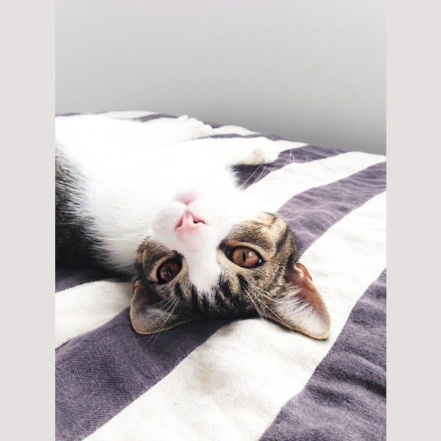 Photo of Ernie (R1801)