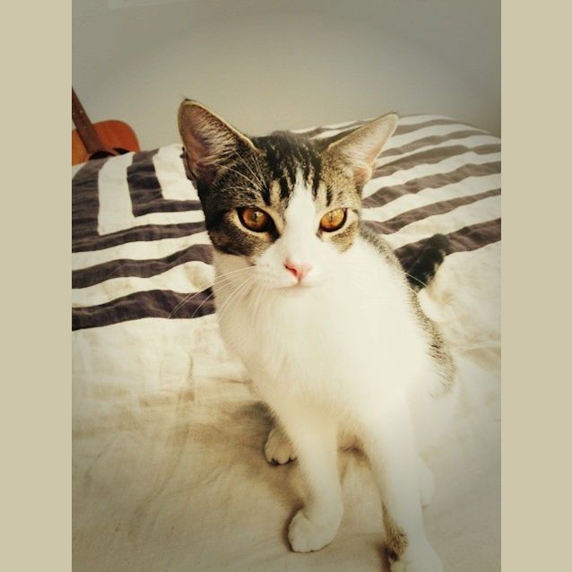 Photo of Ernie (R1801)