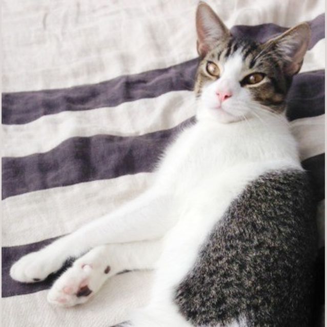 Photo of Ernie (R1801)