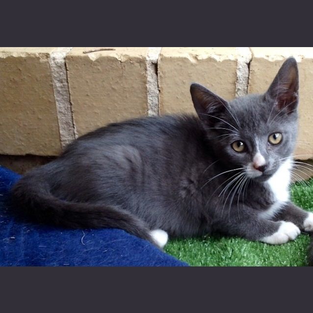 Photo of Mia