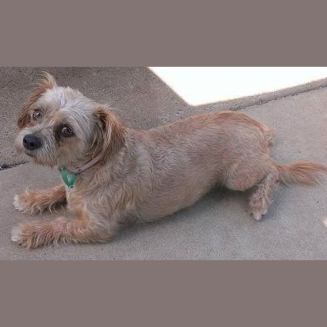 Photo of Oscar