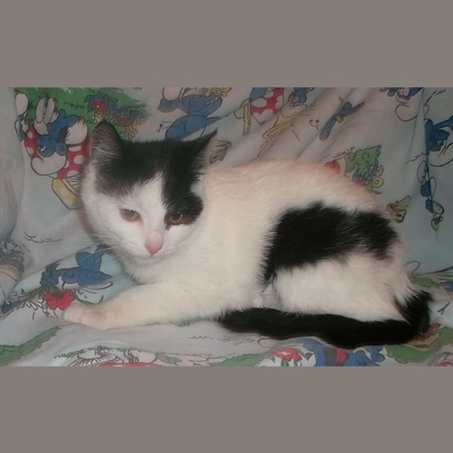 Photo of Florrie