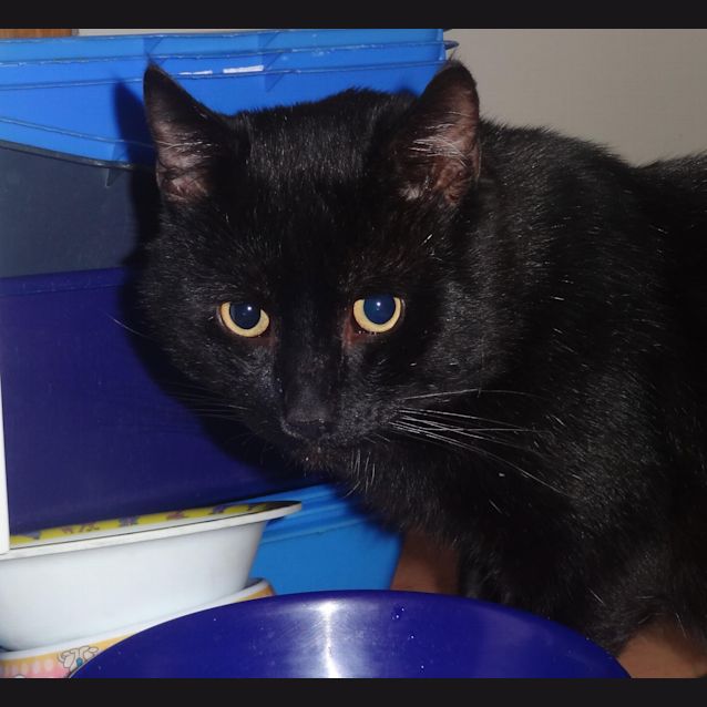 Photo of Minky