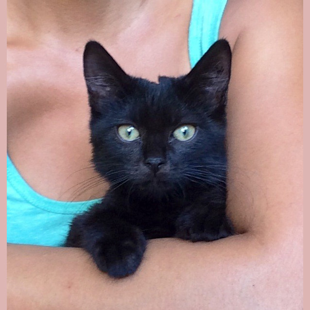 Photo of Ace