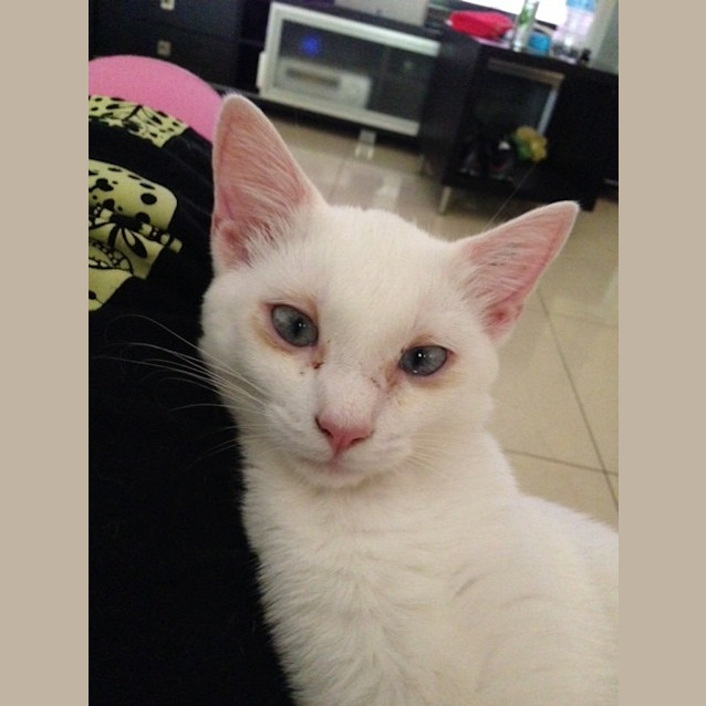 Photo of Matilda