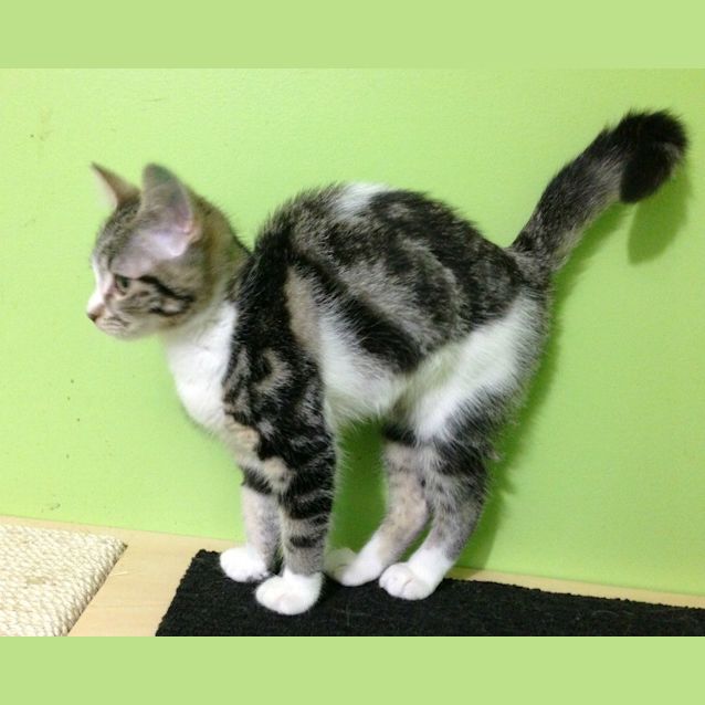 Photo of Mary Watson