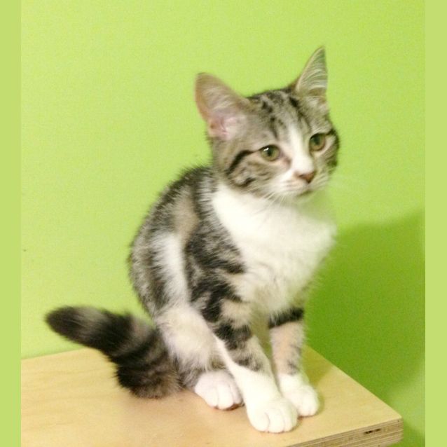 Photo of Mary Watson