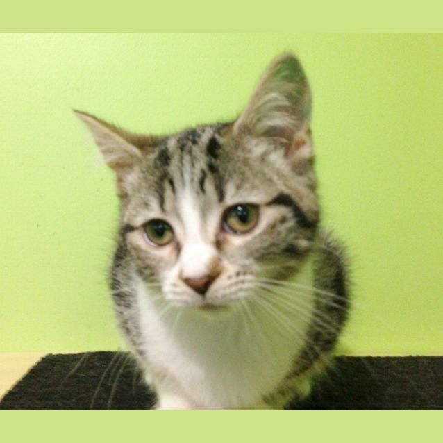 Photo of Mary Watson