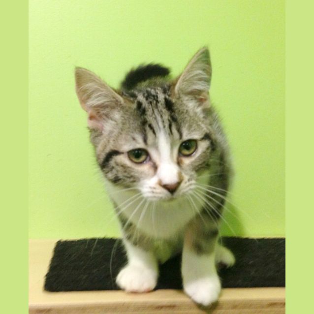 Photo of Mary Watson