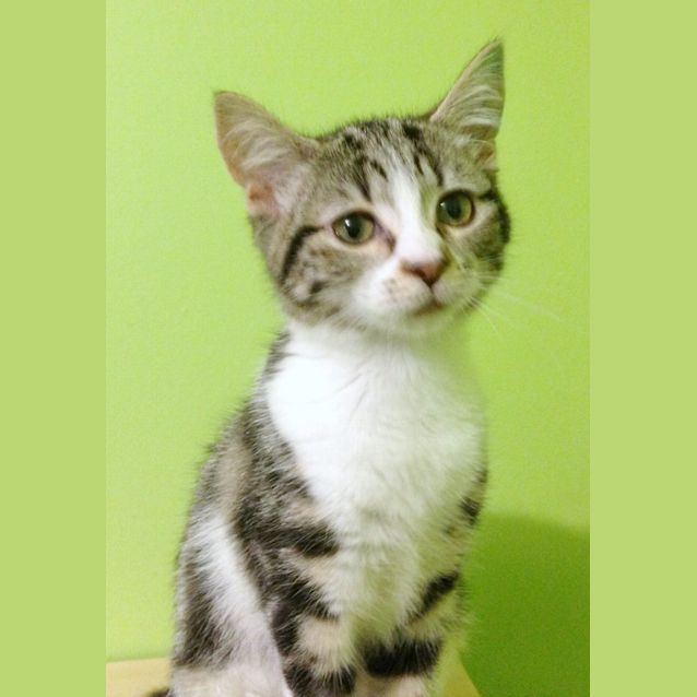 Photo of Mary Watson