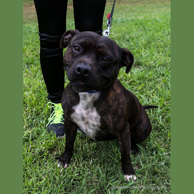 Photo of Roxy