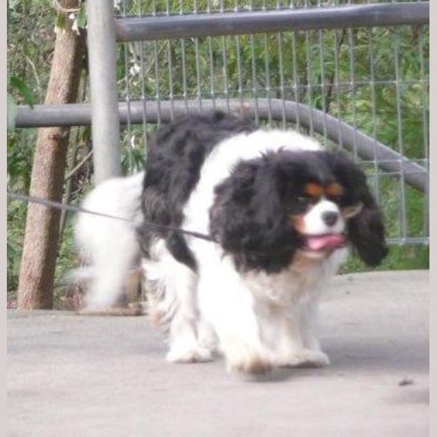 Photo of Lexie 