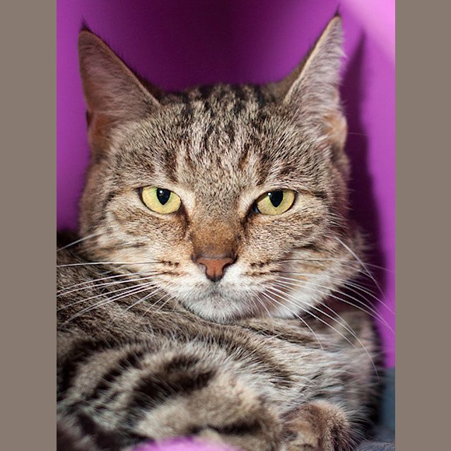 Photo of Sweetie