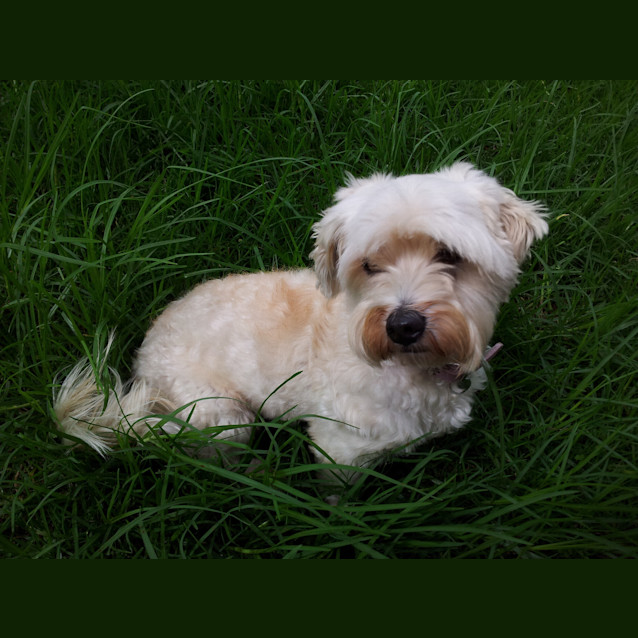 Photo of Lizzy