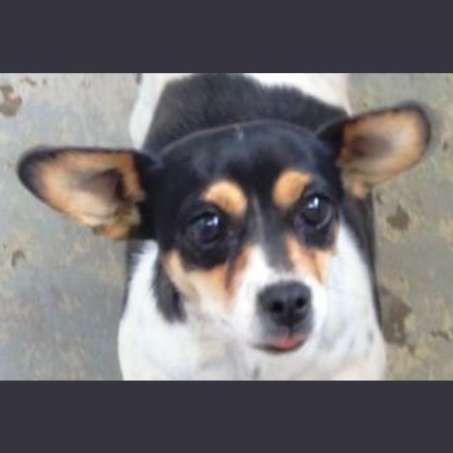 Photo of Mary Beth