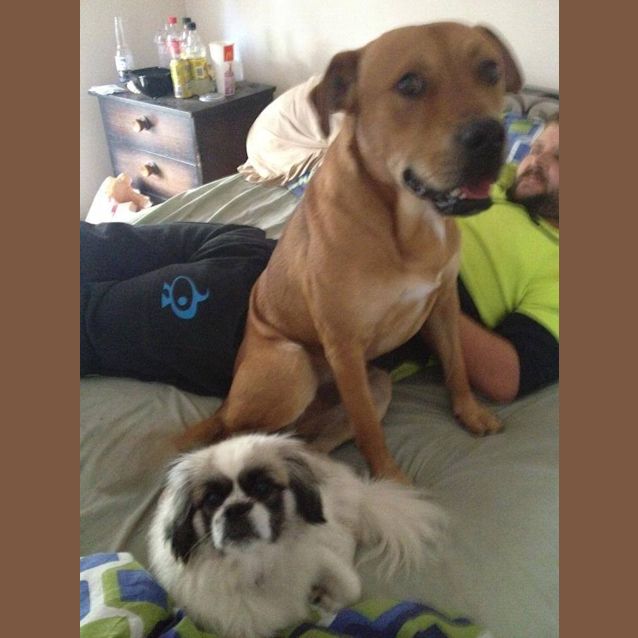 Photo of Daisy *No More Enquiries Please*