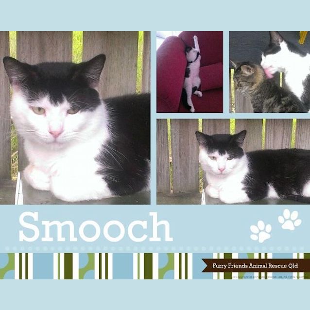 Photo of Smooch