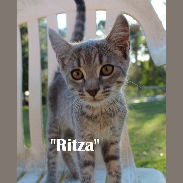 Photo of Ritza