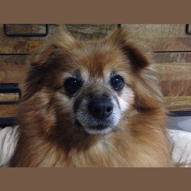 Photo of Charlie
