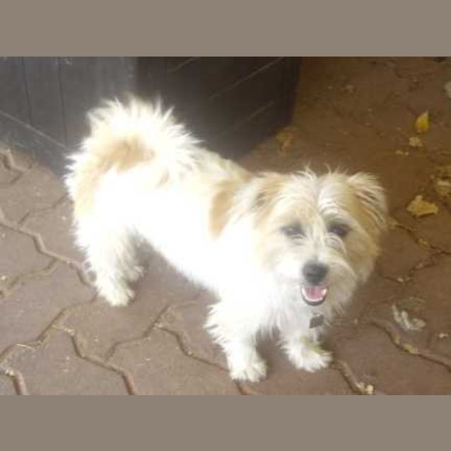 Photo of Flicka