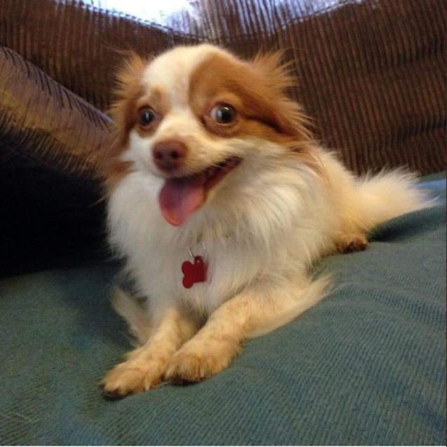 Photo of Winston