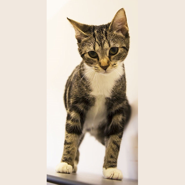 Photo of Bonnie