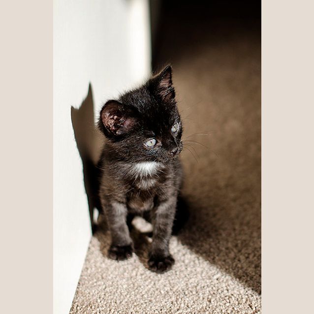 Photo of Jamie   Not Available Until Late April