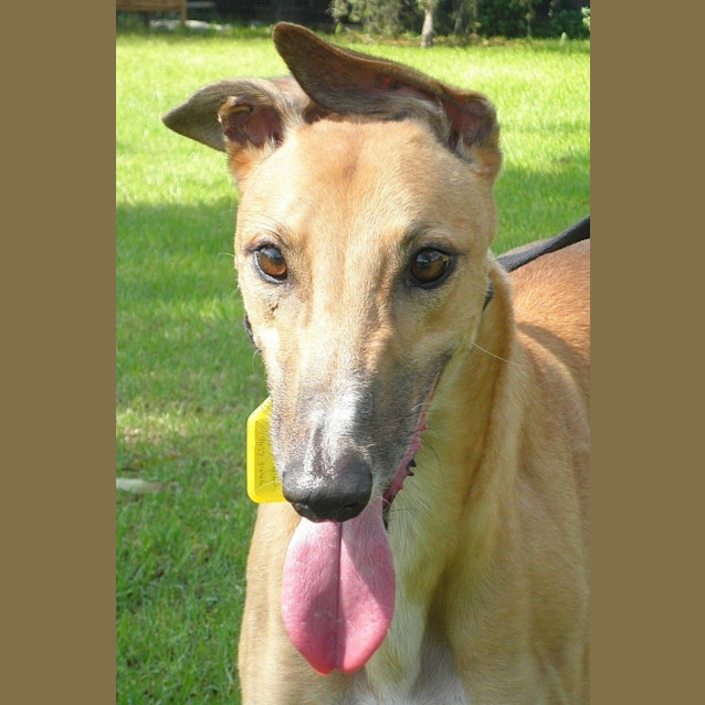 Photo of Moet. On Trial