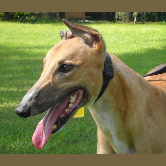 Photo of Moet. On Trial