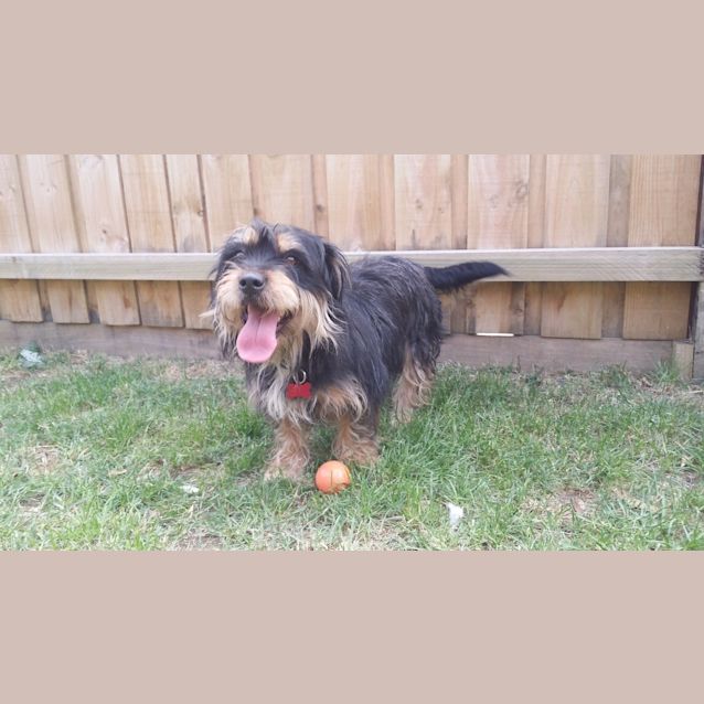 Photo of Annie Leannie  