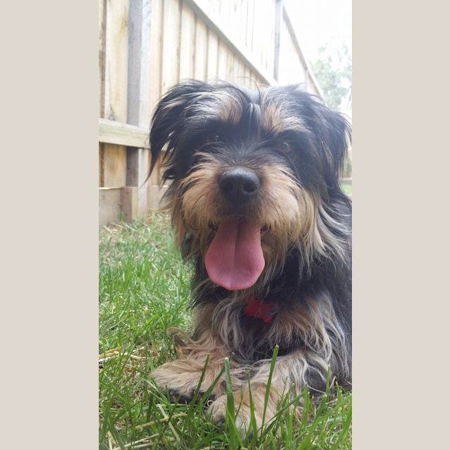 Photo of Annie Leannie  