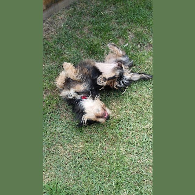 Photo of Annie Leannie  