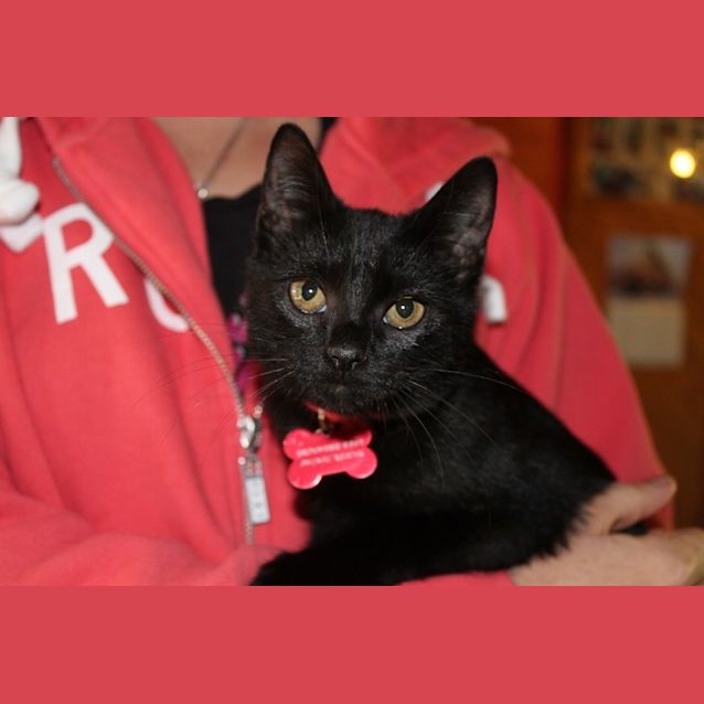 Photo of Tia (Is Ready To Go!)