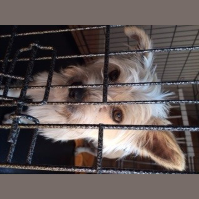 Photo of Molly