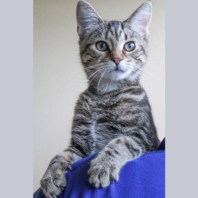 Photo of Missy
