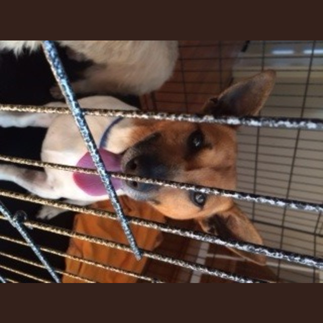 Photo of Max