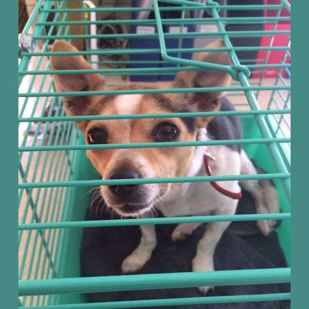 Photo of Matilda