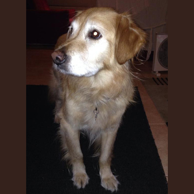 Photo of Molly