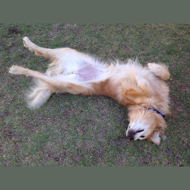 Photo of Molly