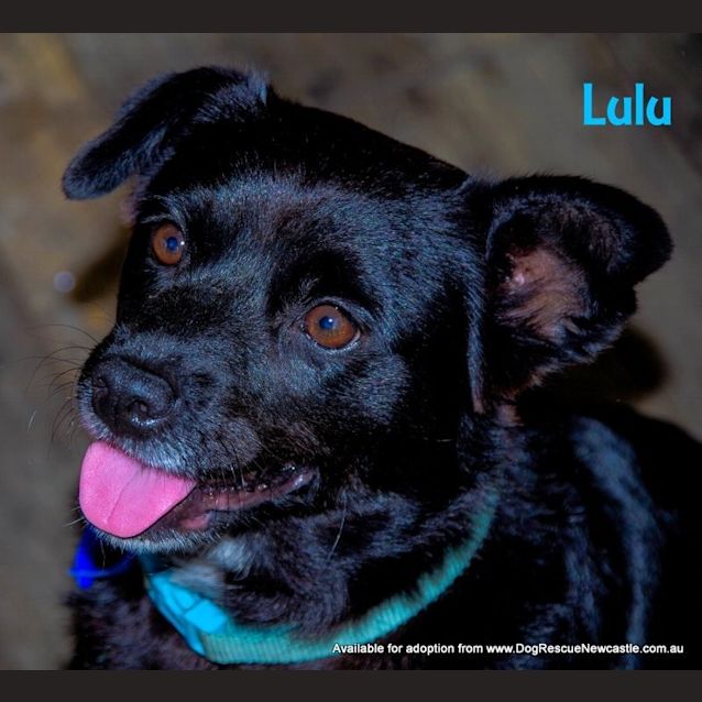 Photo of Bastian And Lulu (On Trial 7/11/14)