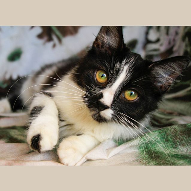 Photo of Yuki