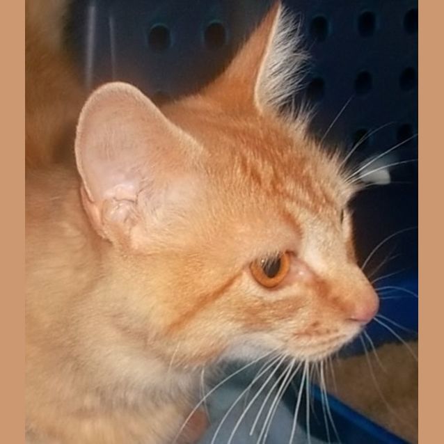 Photo of Albert