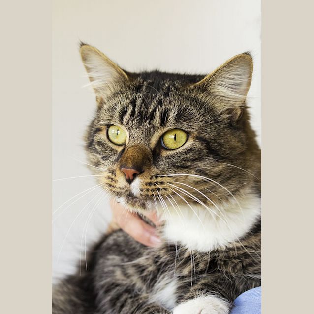 Photo of Horatio